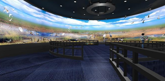 弧幕、環幕投影